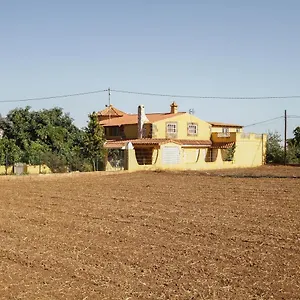 Ojuelos , Vega de San Mateo España